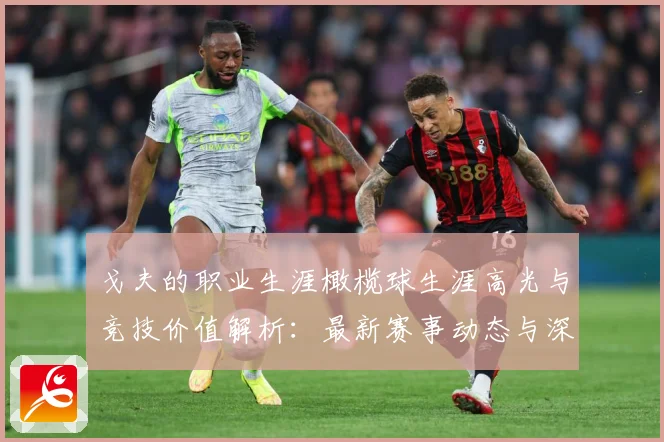 戈夫的职业生涯橄榄球生涯高光与竞技价值解析：最新赛事动态与深度分析